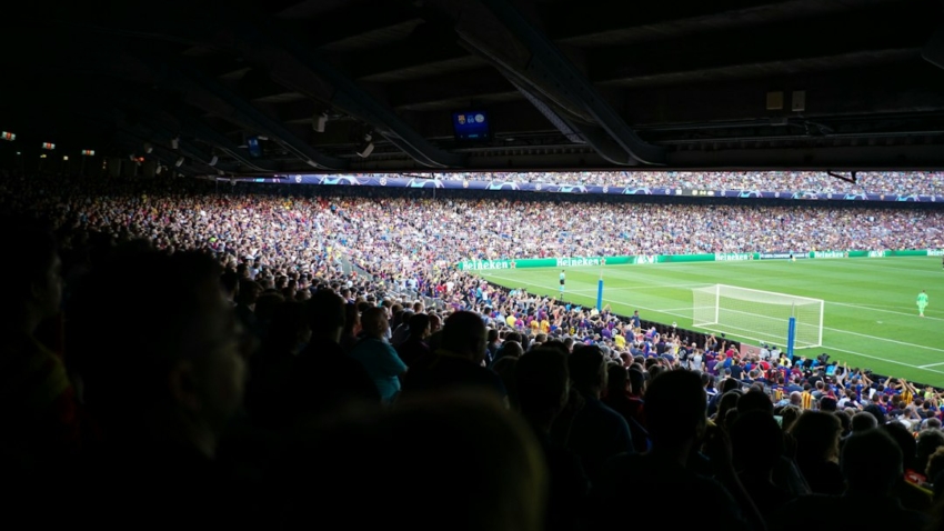 An Inside Look at the Best Betting Tips Websites Worth Your Time